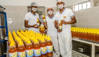 Mel da agricultura familiar conquista paladares e fortalece comunidades rurais da Bahia