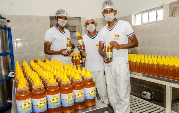 Mel da agricultura familiar conquista paladares e fortalece comunidades rurais da Bahia
