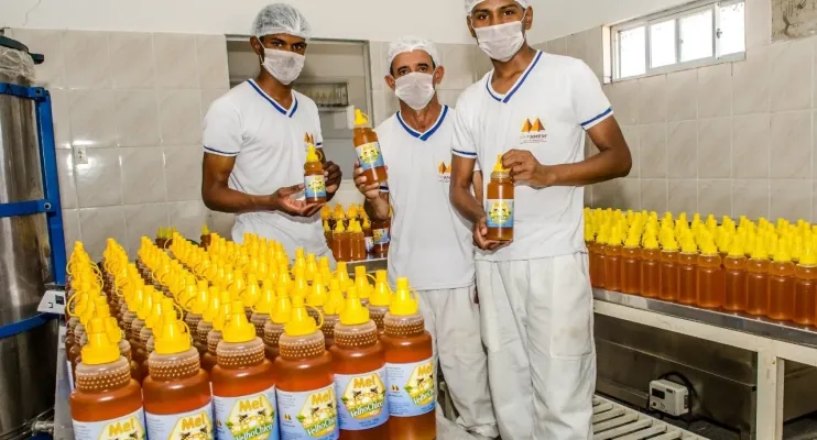 Mel da agricultura familiar conquista paladares e fortalece comunidades rurais da Bahia