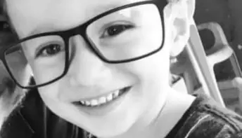 Menino de 7 anos morre após ser picado por escorpião em SP  