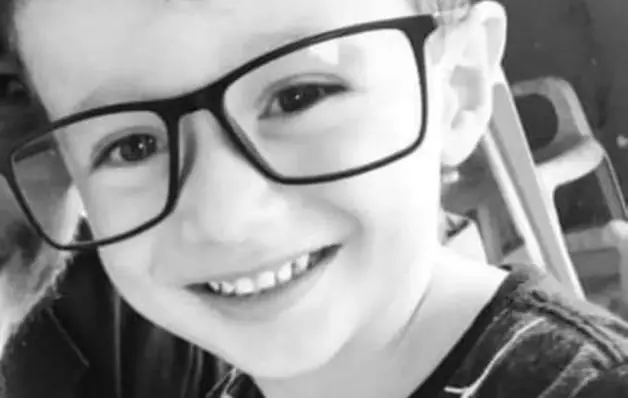 Menino de 7 anos morre após ser picado por escorpião em SP  
