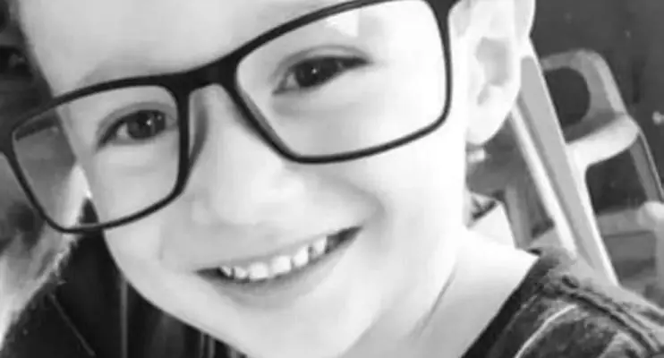 Menino de 7 anos morre após ser picado por escorpião em SP  