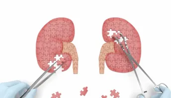 Mitos e verdades sobre a doença renal crônica