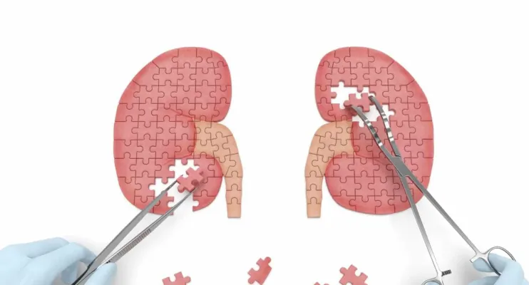 Mitos e verdades sobre a doença renal crônica
