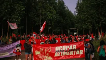 MST ocupa área da Suzano em Aracruz; empresa promete medidas judiciais