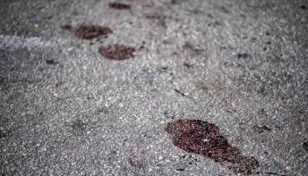 Mulher é suspeita de matar amiga, ocultar cadáver e assumir sua identidade