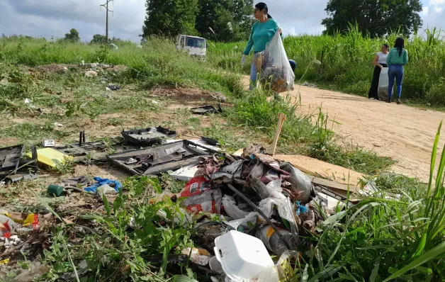 Mutirão retira uma tonelada de criadouros do Aedes aegypti em Pinheiros