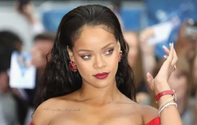 Rihanna leva dura de ONG dos direitos animais por usar casaco de pele em balada