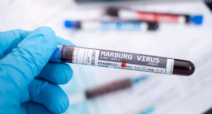 Vírus de Marburg, um dos mais letais do mundo, tem surto confirmado pela OMS