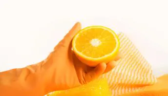 Se tem amor à sua carteira, pare de jogar fora as cascas de laranja