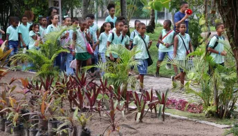Natureza vira sala de aula em programação especial da Semana do Meio Ambiente