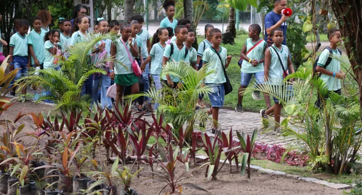 Natureza vira sala de aula em programação especial da Semana do Meio Ambiente