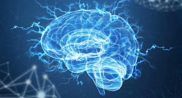 Neurocientista dá dicas de jogos para estimular o cérebro