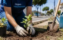 No Dia Nacional do Voluntariado, ação mobiliza colaboradores para plantio de mudas em Vila Velha