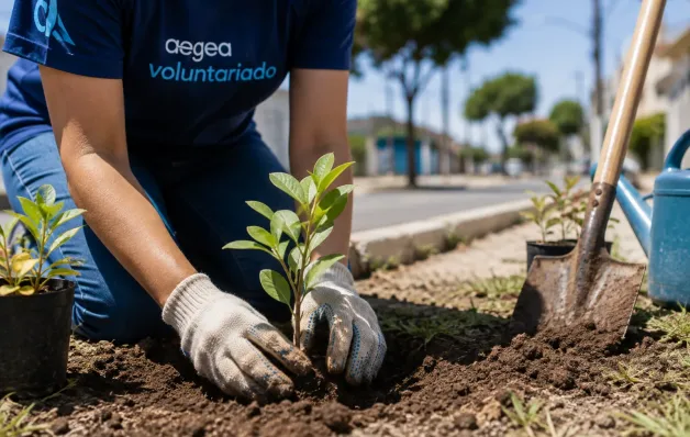 No Dia Nacional do Voluntariado, ação mobiliza colaboradores para plantio de mudas em Vila Velha
