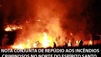 NOTA CONJUNTA DE REPÚDIO AOS INCÊNDIOS CRIMINOSOS NO NORTE DO ESPÍRITO SANTO
