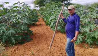 Nova Lei do Combustível do Futuro abre oportunidades para Agricultura Familiar da Bahia