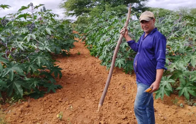 Nova Lei do Combustível do Futuro abre oportunidades para Agricultura Familiar da Bahia