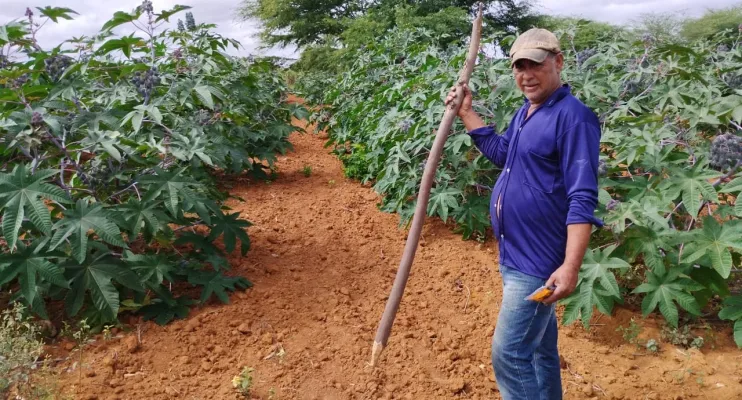 Nova Lei do Combustível do Futuro abre oportunidades para Agricultura Familiar da Bahia