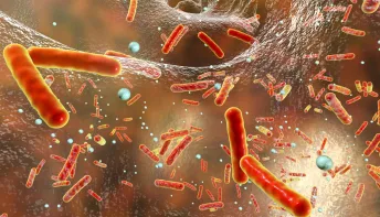 Novo antibiótico capaz de matar superbactérias é descoberto com ajuda de IA