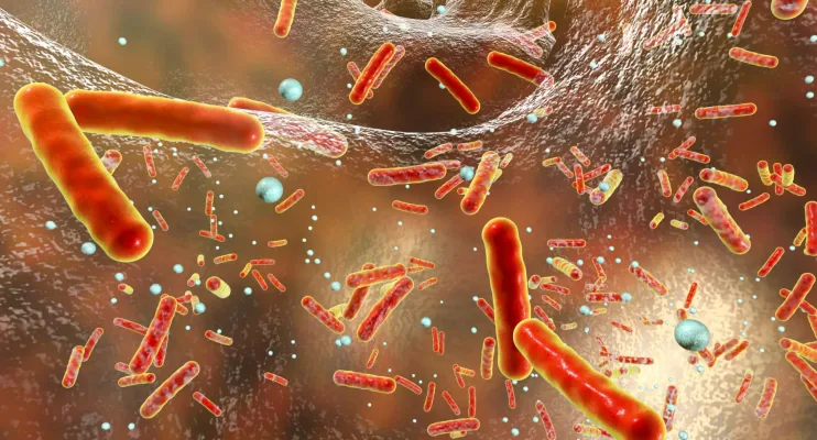Novo antibiótico capaz de matar superbactérias é descoberto com ajuda de IA