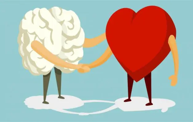 O cérebro e a Inteligência Emocional