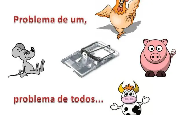 O problema de um é problema de todos