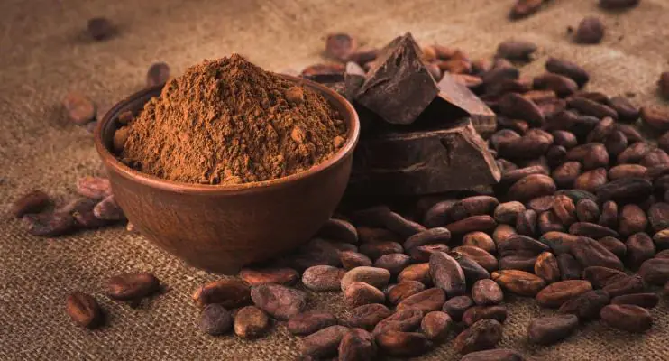 O saboroso alimento que reduz o risco de morte por doença cardiovascular