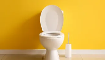 O truque para acabar com as manchas no fundo do vaso sanitário