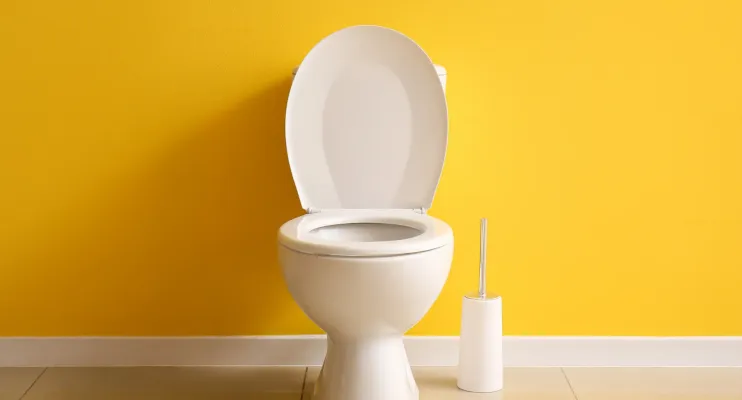 O truque para acabar com as manchas no fundo do vaso sanitário