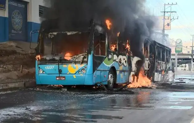 Ônibus do Transcol pega fogo na BR-262, em Cariacica, ES