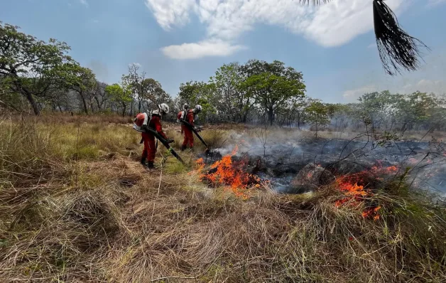 Operação Florestal do Corpo de Bombeiros debela cerca de 960 incêndios no estado