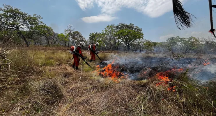 Operação Florestal do Corpo de Bombeiros debela cerca de 960 incêndios no estado