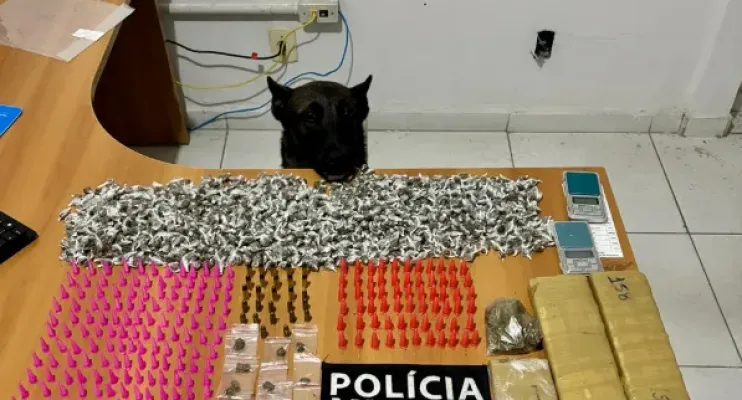Operação prende quatro suspeitos e apreende drogas em Guriri