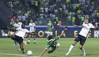 Palmeiras e Botafogo se reencontram em 'decisão' pelo Brasileirão