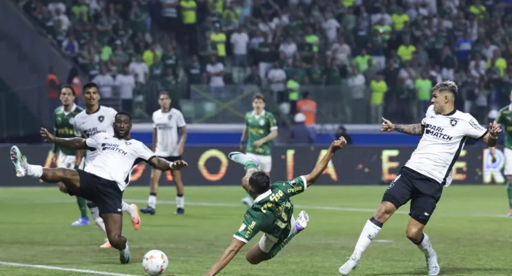 Palmeiras e Botafogo se reencontram em 'decisão' pelo Brasileirão