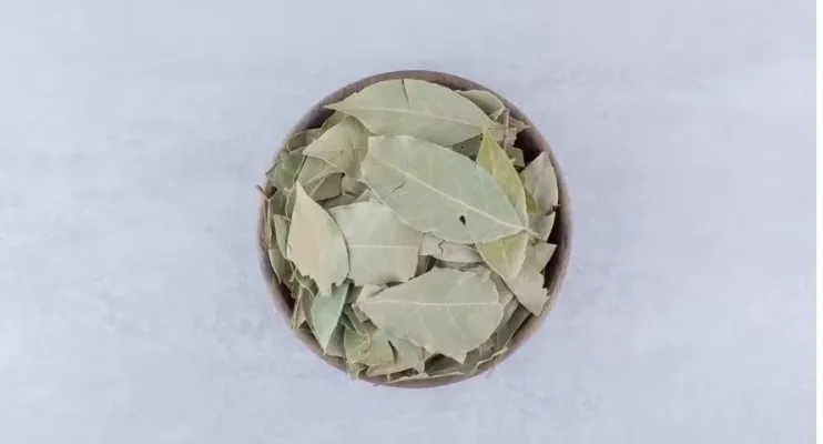 Para bom cheiro: ferver folhas de louro com bicarbonato de sódio