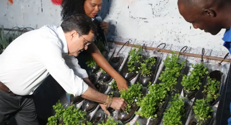 Parceria entre o Governo da Bahia e a Solar Coca-Cola entrega primeira horta sustentável em Feira de Santana