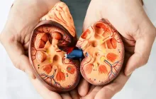 Pedra nos rins aumentam até 30% durante o verão