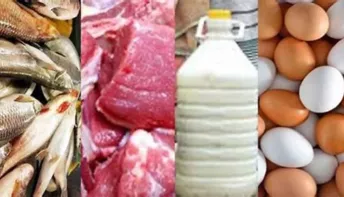 Pedro Canário implanta Serviço de Inspeção Municipal para garantir segurança alimentar
