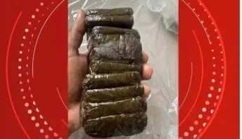  PF apreende drogas dentro de peixes congelados em barcos de pesca em Vila Velha