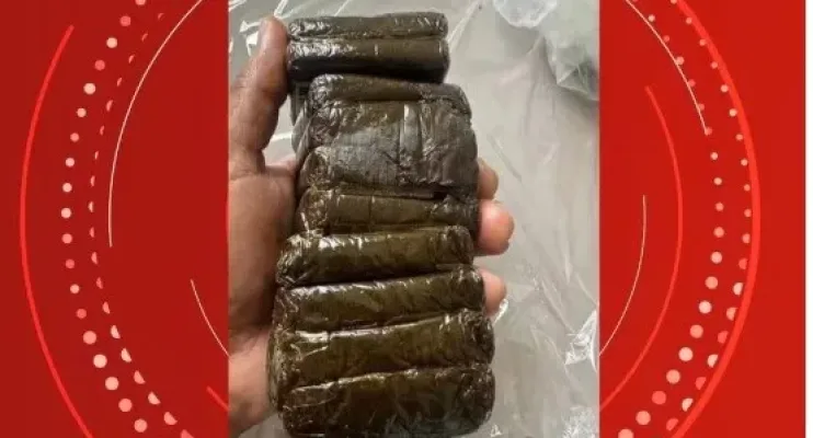  PF apreende drogas dentro de peixes congelados em barcos de pesca em Vila Velha