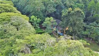 Conselho Municipal de Meio Ambiente define ações para 2023 em Jaguaré