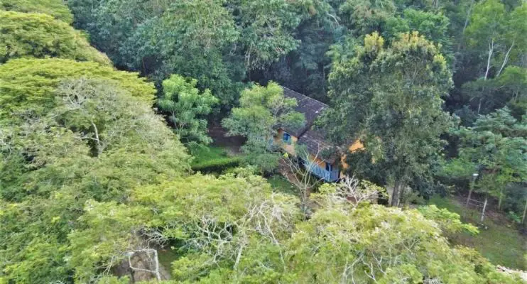 Conselho Municipal de Meio Ambiente define ações para 2023 em Jaguaré