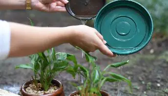 Ações de prevenção contra a dengue não param em Jaguaré