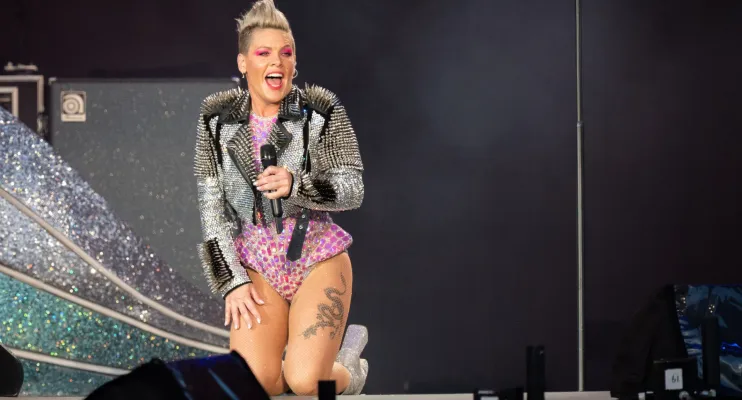 Pink fica incrédula após fã jogar cinzas da sua mãe no palco durante show