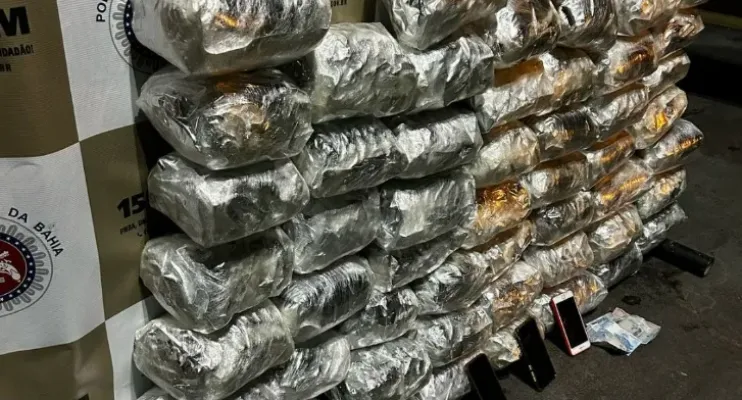 PM apreende 50kg de maconha e prende dois suspeitos em operação no centro de Itabuna