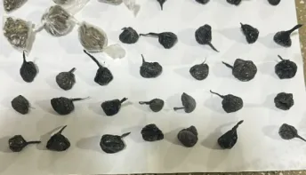 PM apreende drogas em bairro de Teixeira de Freitas; suspeitos fogem