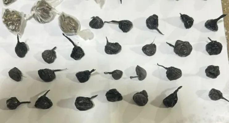 PM apreende drogas em bairro de Teixeira de Freitas; suspeitos fogem