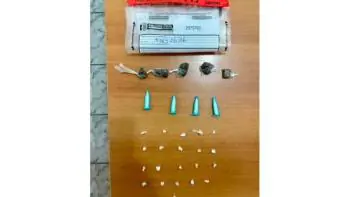 PM apreendem entorpecentes em Pedro Canário